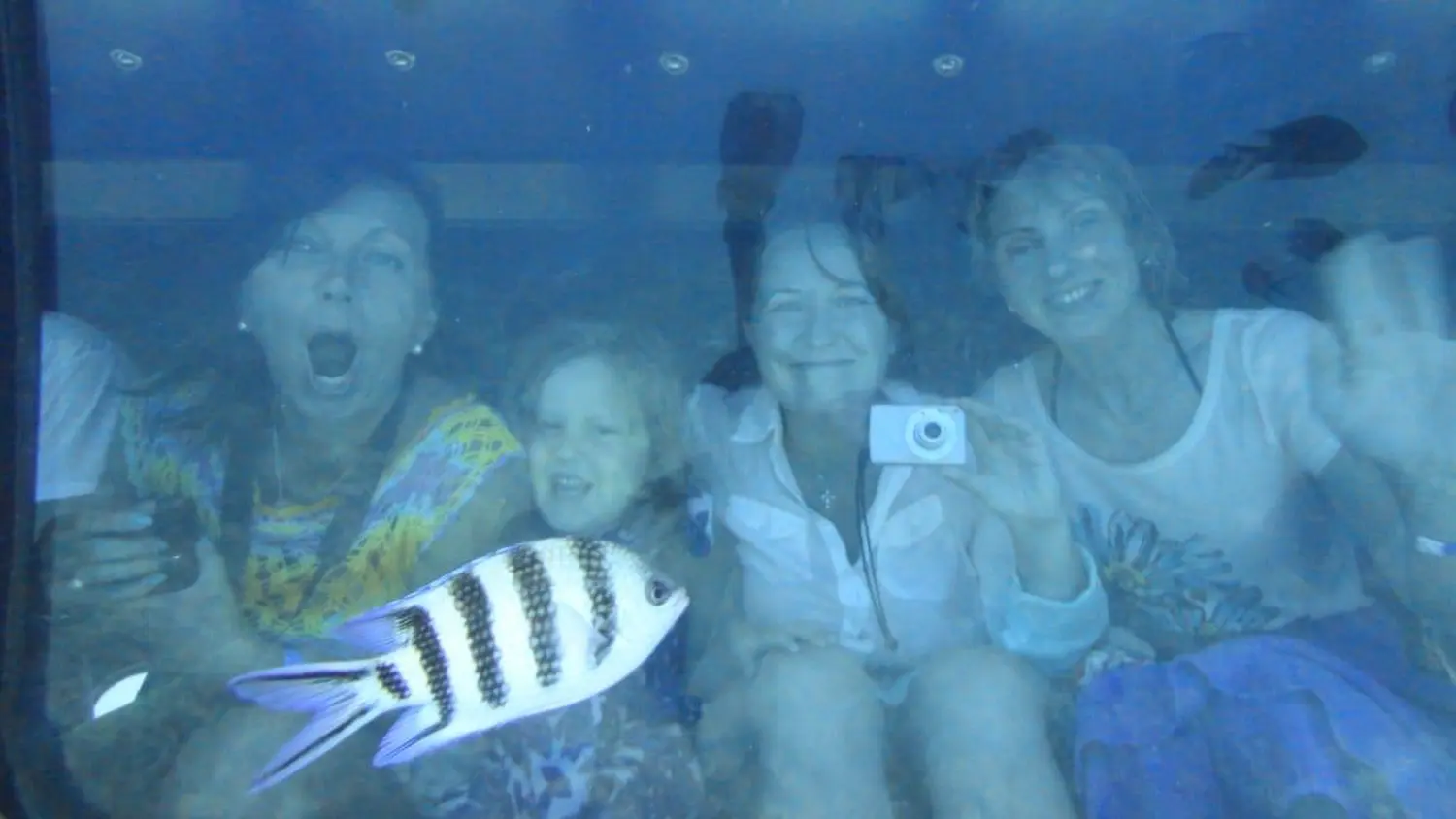 luxusTrip Hurghada Aquarium