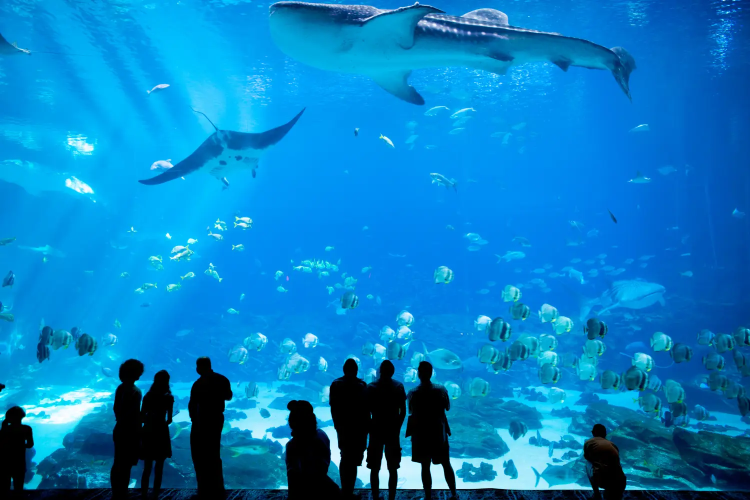 luxusTrip Hurghada Blick auf das Aquarium