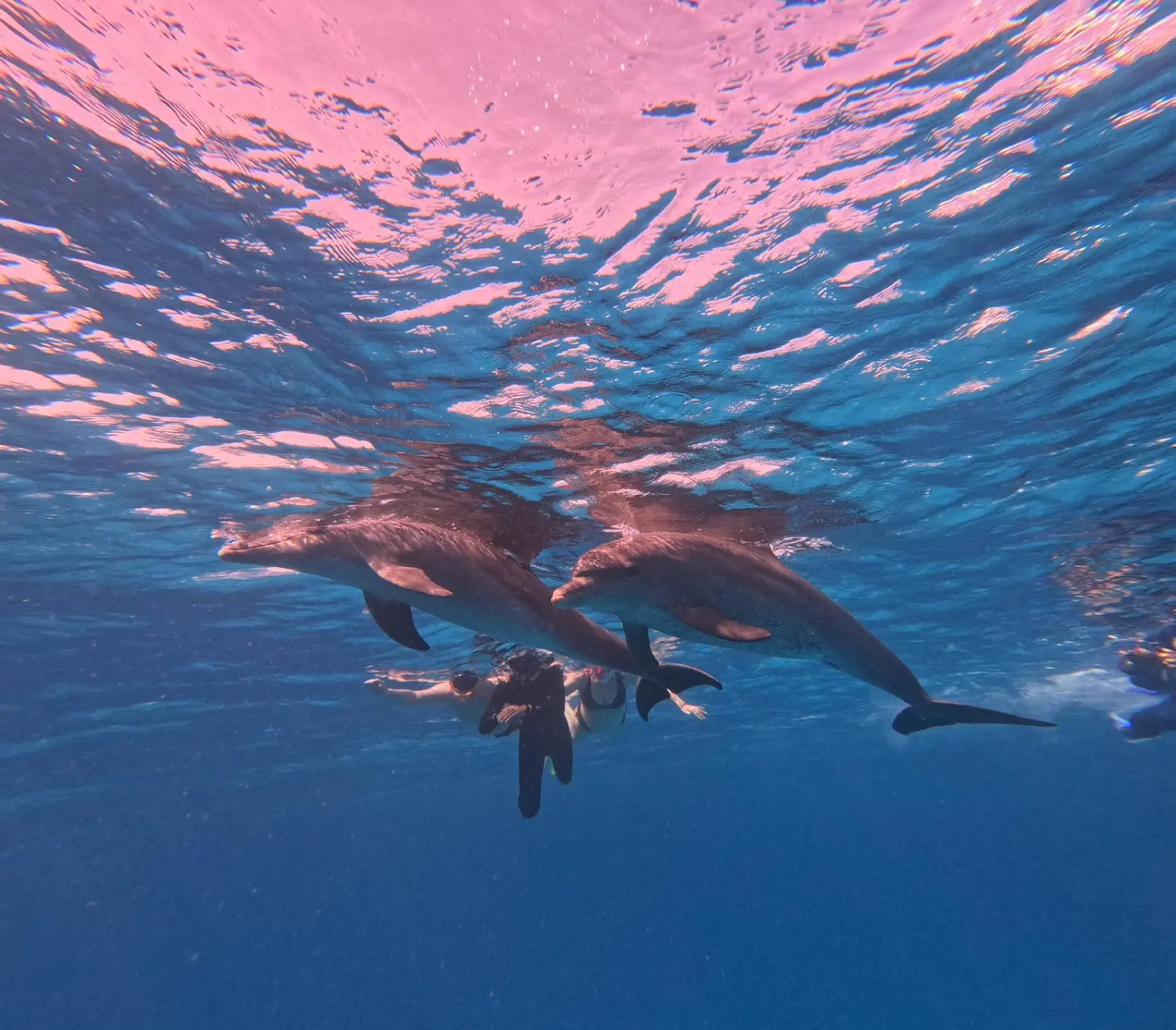 Kind genießt im Wasser