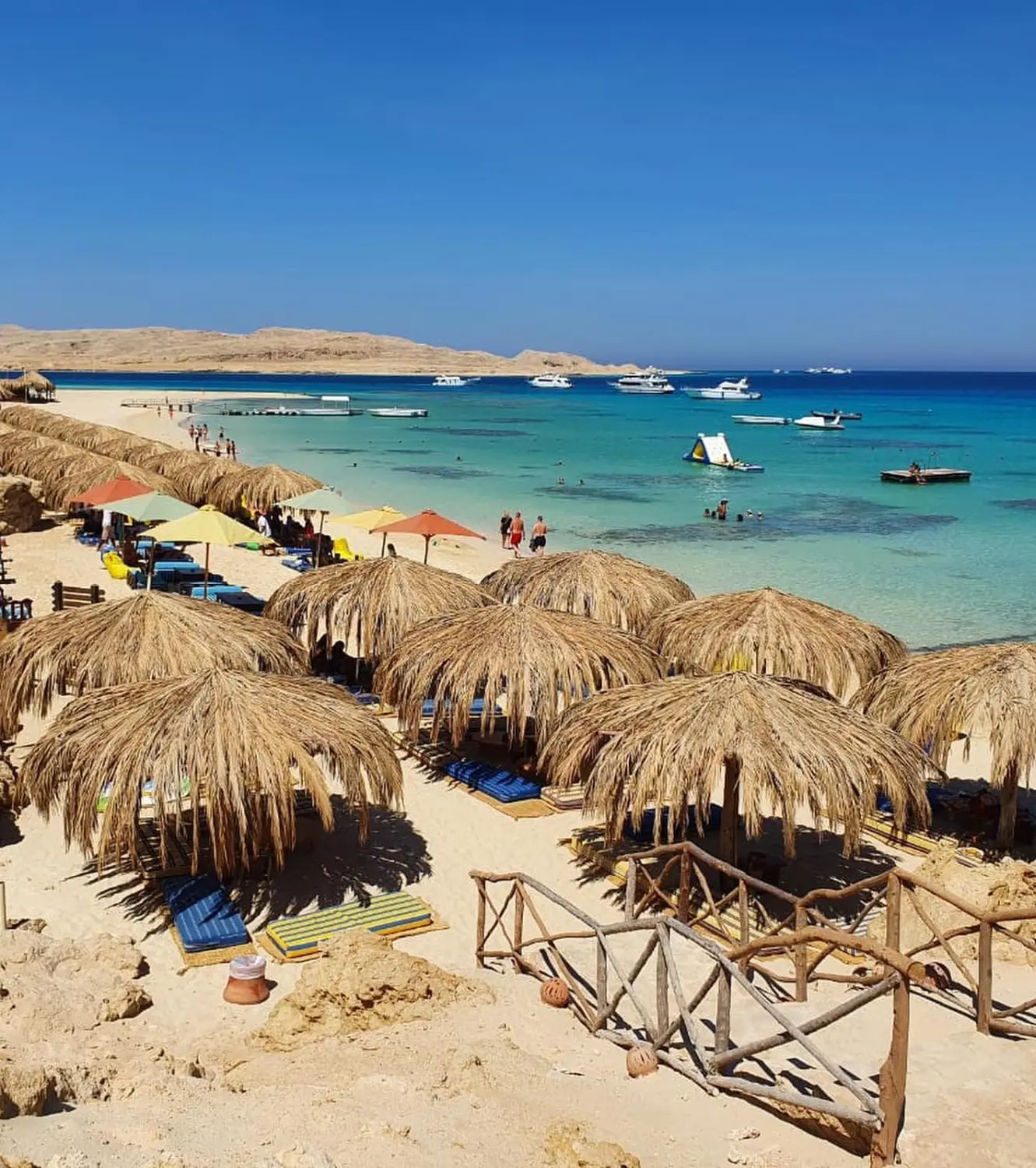 luxusTrip Hurghada Delfine